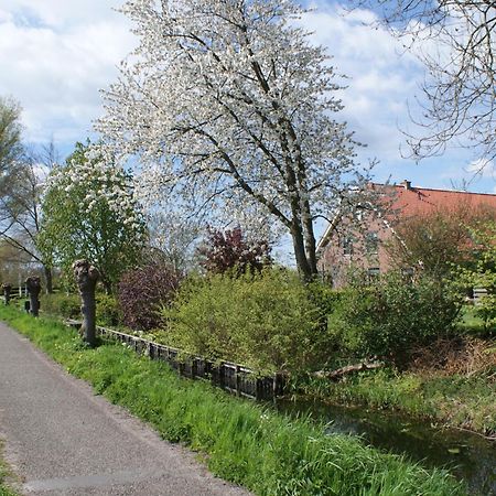 Gastenverblijf De Natureluur Noorden ภายนอก รูปภาพ