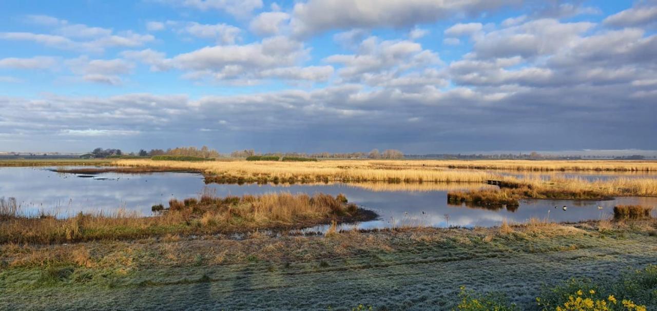 Gastenverblijf De Natureluur Noorden ภายนอก รูปภาพ