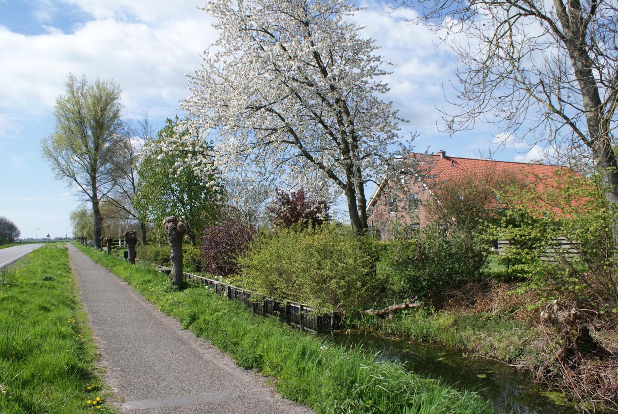 Gastenverblijf De Natureluur Noorden ภายนอก รูปภาพ